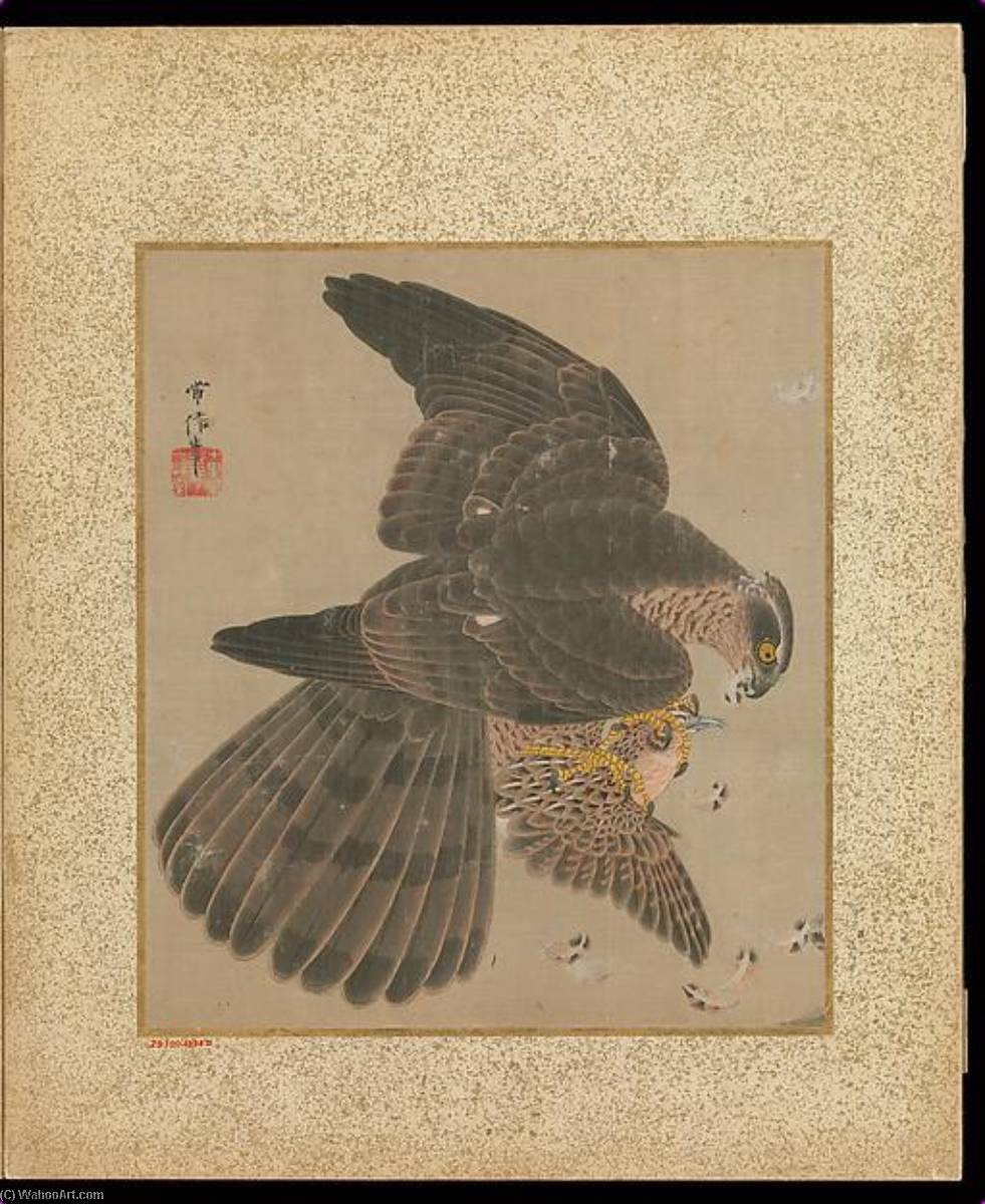 Wikioo.org - The Encyclopedia of Fine Arts - Painting, Artwork by Kano Tsunenobu - 十鷹書画冊 Album of Hawks and Calligraphy