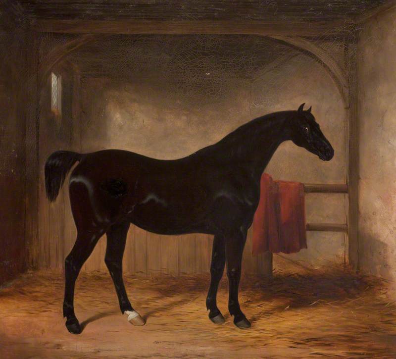 Wikioo.org - The Encyclopedia of Fine Arts - Painting, Artwork by Henry Barraud - Black Horse in a Loose Box