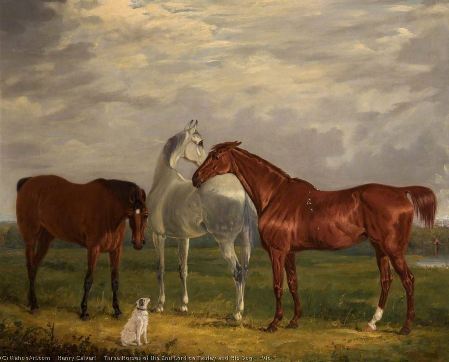 Wikioo.org - The Encyclopedia of Fine Arts - Painting, Artwork by Henry Calvert - Three Horses of the 2nd Lord de Tabley and His Dog, 'Vic'