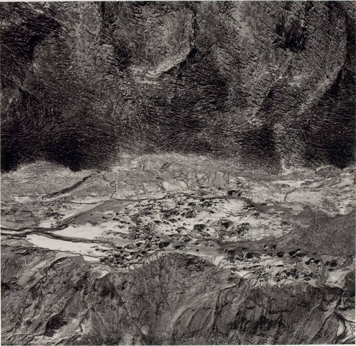 Wikioo.org - The Encyclopedia of Fine Arts - Painting, Artwork by Emmet Gowin - Bear Cove, Spirit Lake, Mount St. Helens, Washington