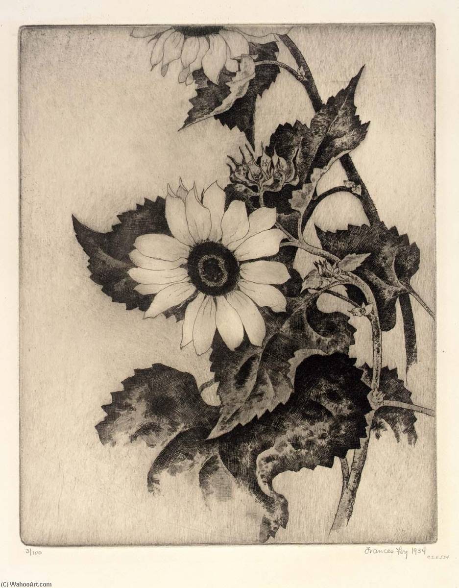 WikiOO.org - Encyclopedia of Fine Arts - Lukisan, Artwork Frances Foy - Sunflower