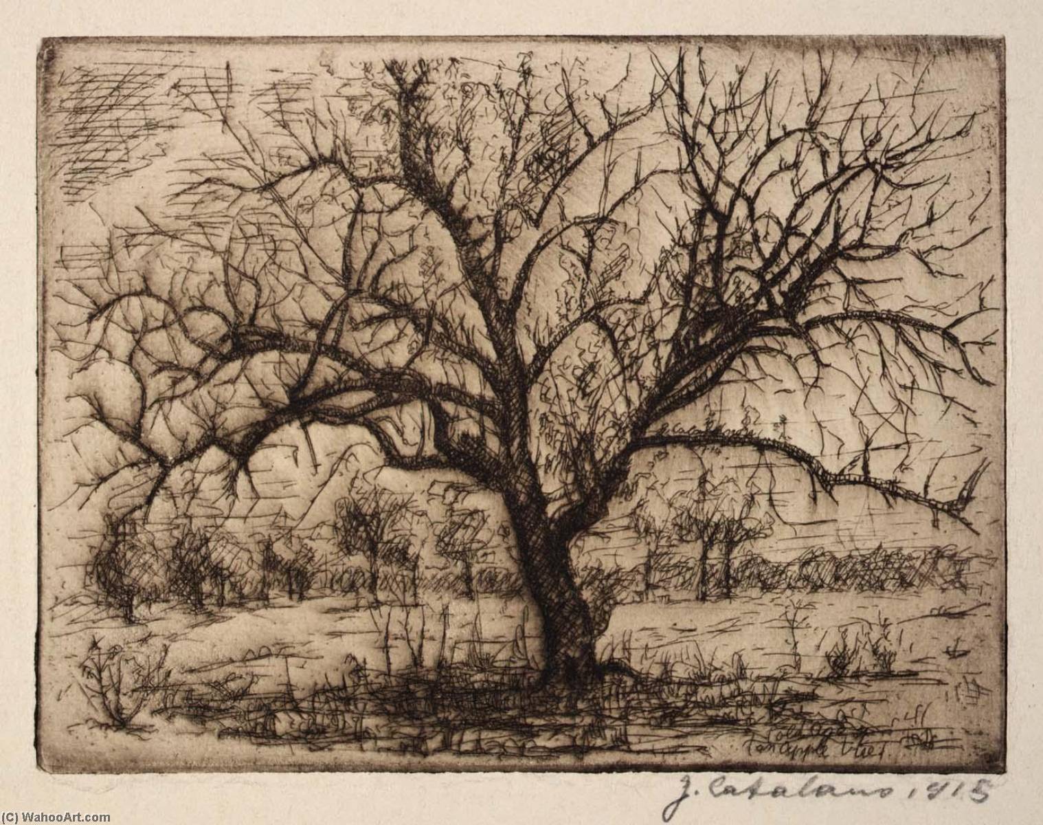 WikiOO.org - Enciclopedia of Fine Arts - Pictura, lucrări de artă Guiseppe Catalano - Dying Apple Tree