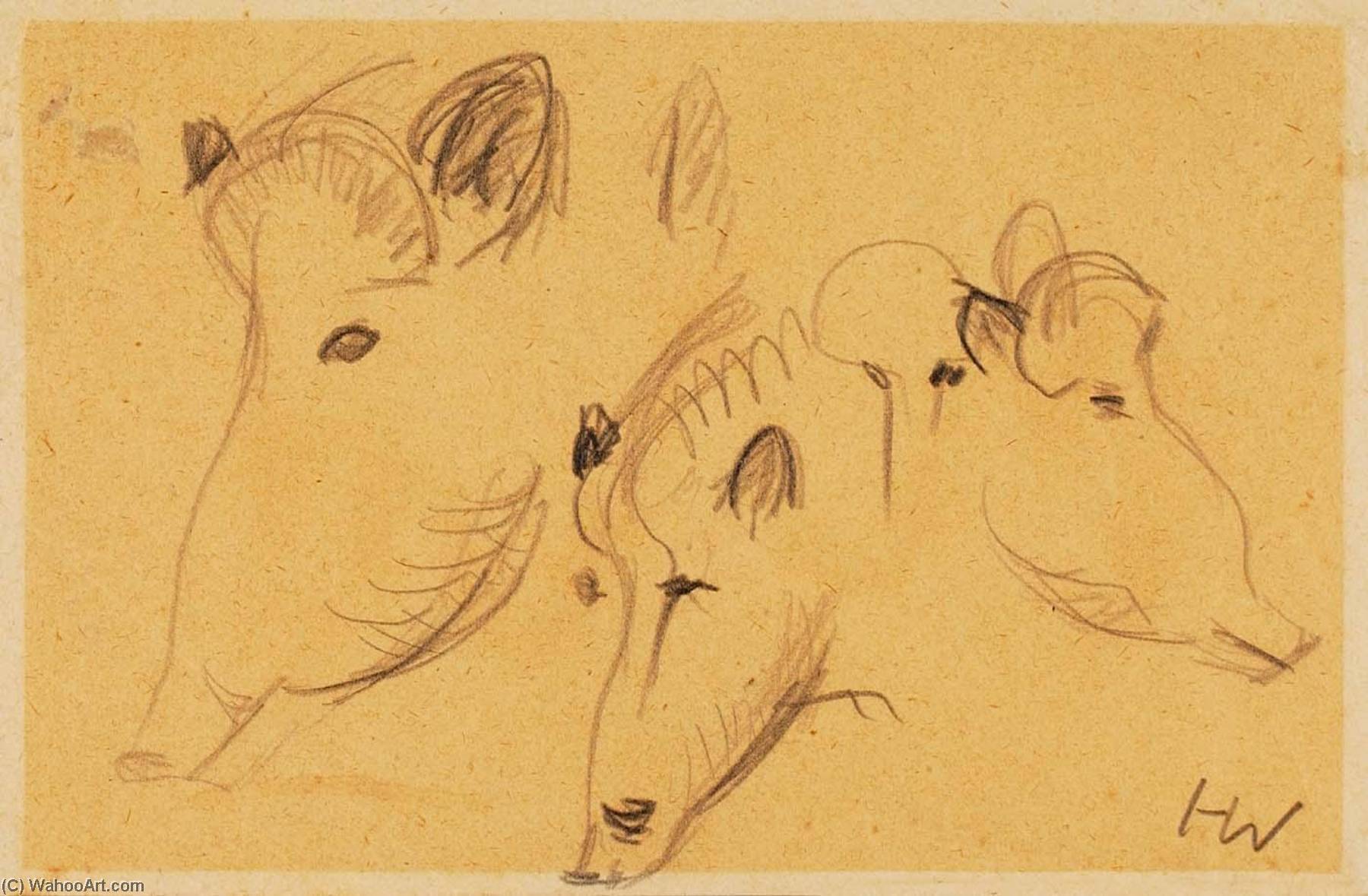 WikiOO.org - Encyclopedia of Fine Arts - Lukisan, Artwork Heinz Warneke - Boars (Three Heads)