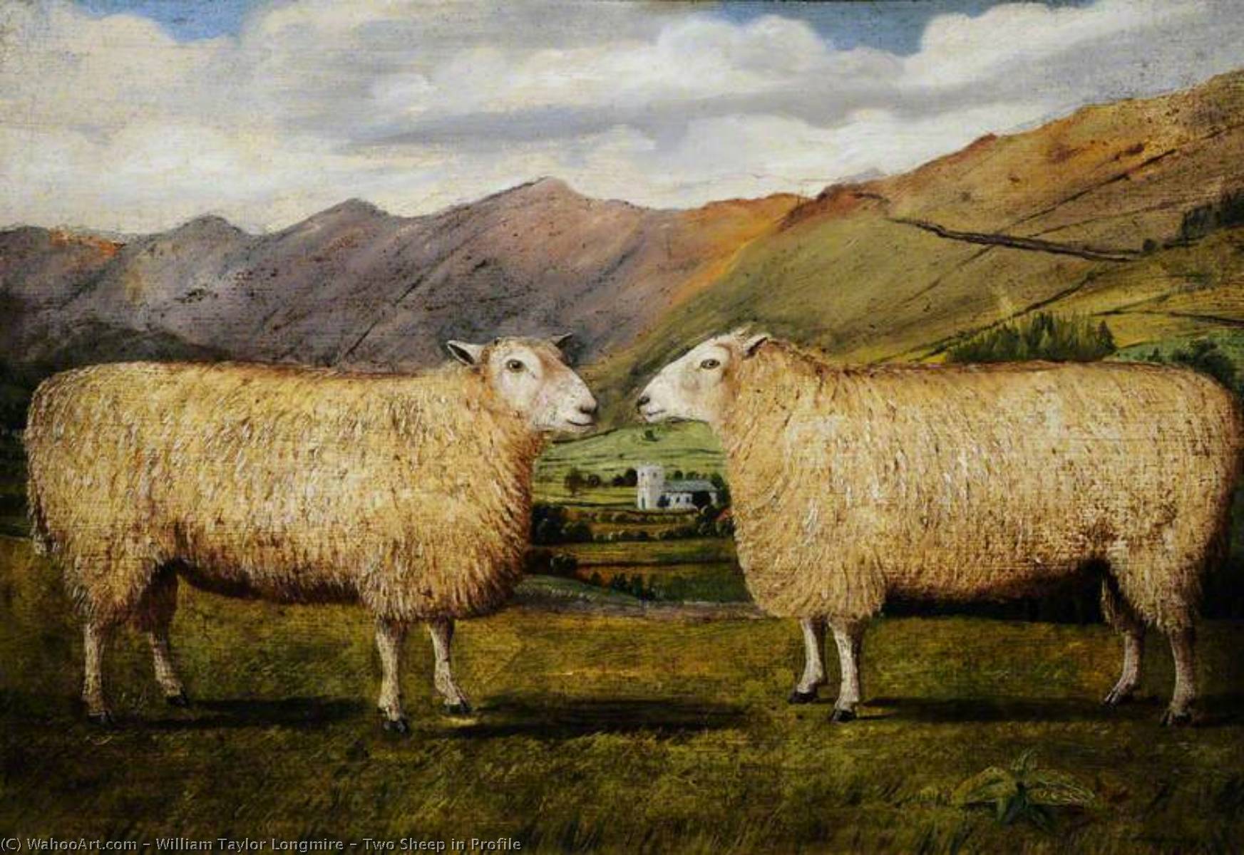 Wikioo.org - The Encyclopedia of Fine Arts - Painting, Artwork by William Taylor Longmire - Two Sheep in Profile