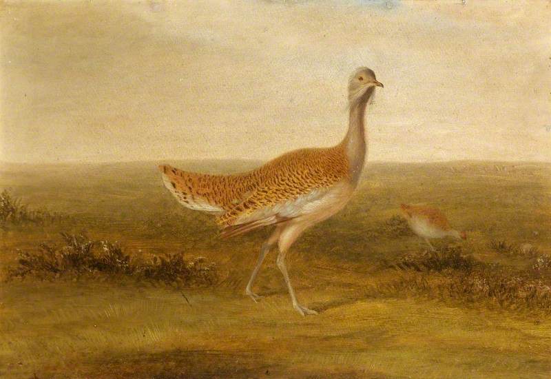 Wikioo.org - The Encyclopedia of Fine Arts - Painting, Artwork by Henry Grant - A Pair of Great Bustards on Salisbury Plain, Wiltshire Showing Stonehenge in the Background