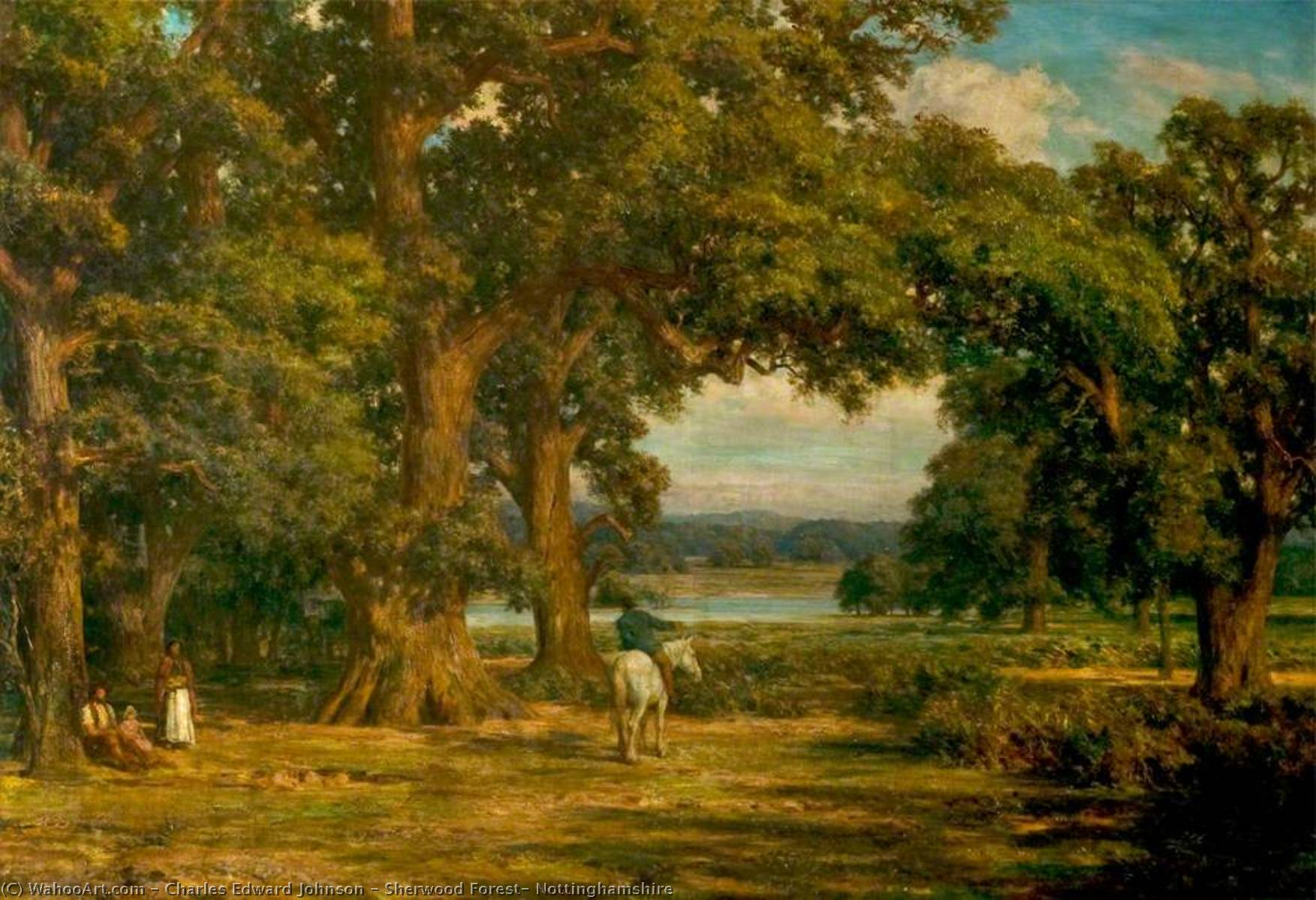 Wikioo.org - The Encyclopedia of Fine Arts - Painting, Artwork by Charles Edward Johnson - Sherwood Forest, Nottinghamshire