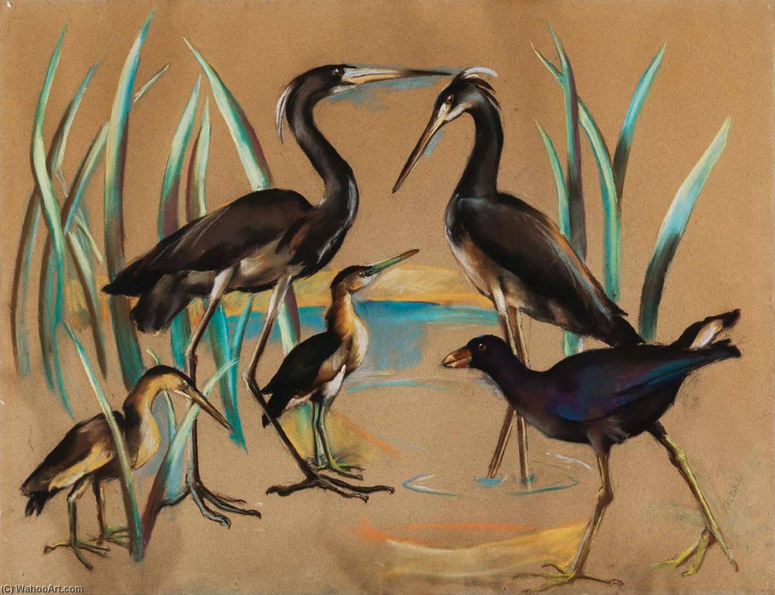 WikiOO.org - Enciclopedia of Fine Arts - Pictura, lucrări de artă Julia Eckel - 2 Least Bitterns 1 Purole Callumule 2 Louisiana Herons