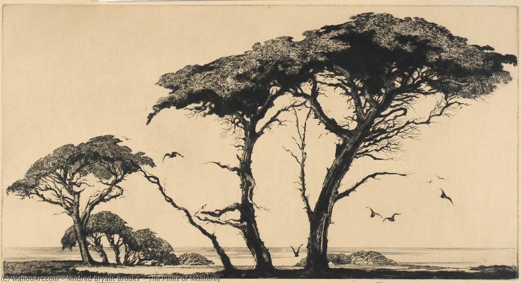 Wikioo.org - Encyklopedia Sztuk Pięknych - Malarstwo, Grafika Mildred Bryant Brooks - The Pines of Monterey