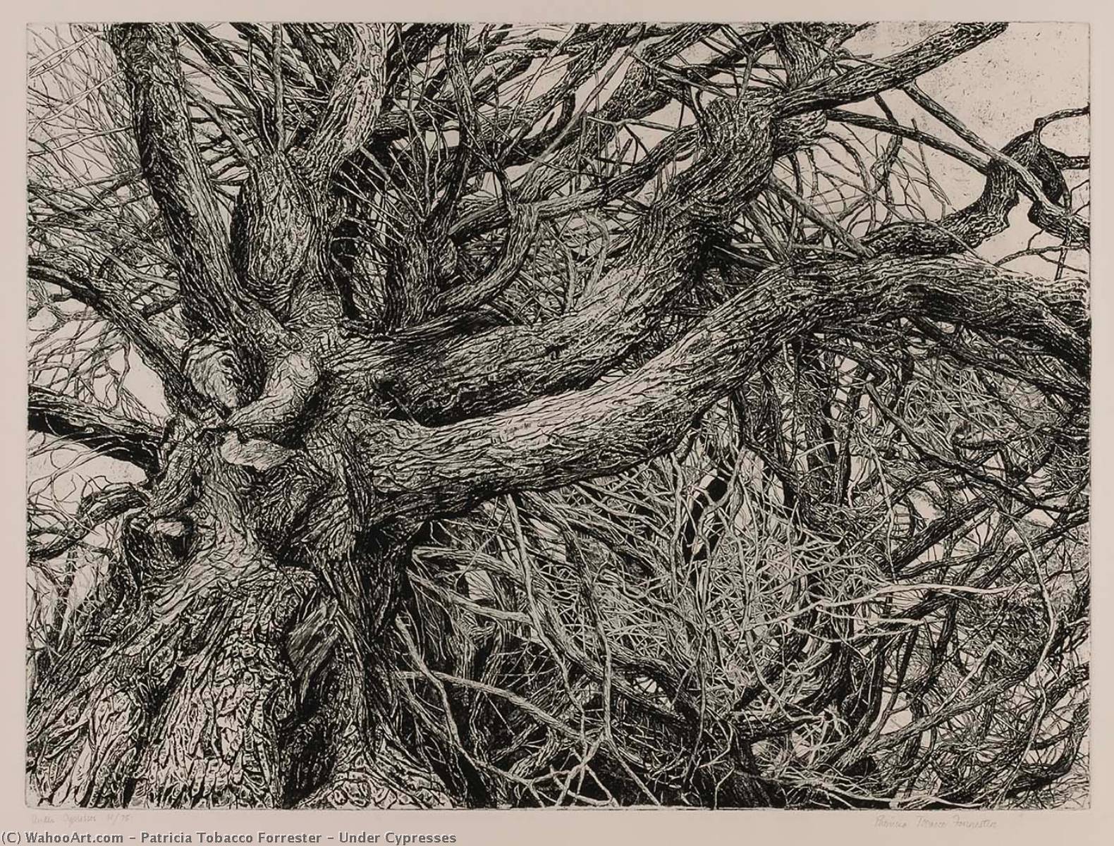 Wikioo.org - Bách khoa toàn thư về mỹ thuật - Vẽ tranh, Tác phẩm nghệ thuật Patricia Tobacco Forrester - Under Cypresses