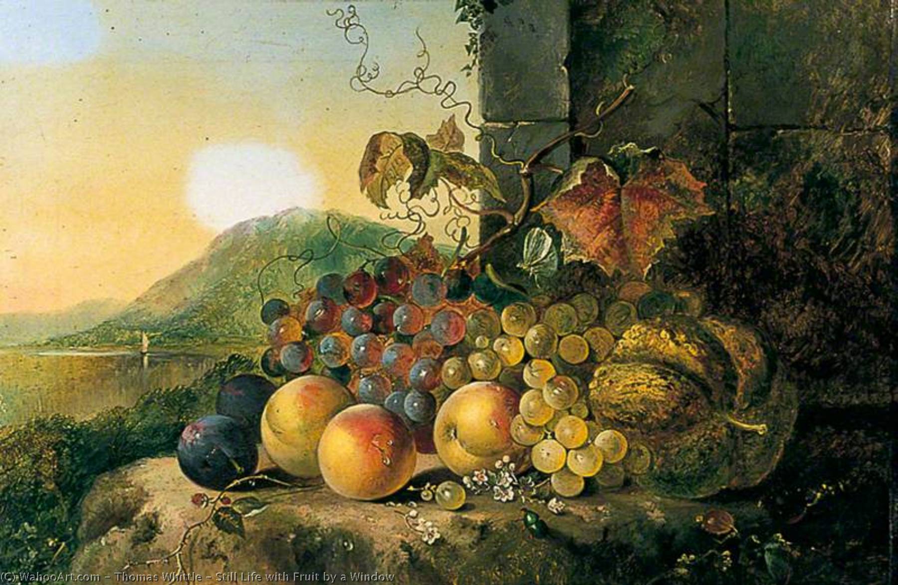 Wikioo.org - The Encyclopedia of Fine Arts - Painting, Artwork by Thomas Whittle - Still Life with Fruit by a Window