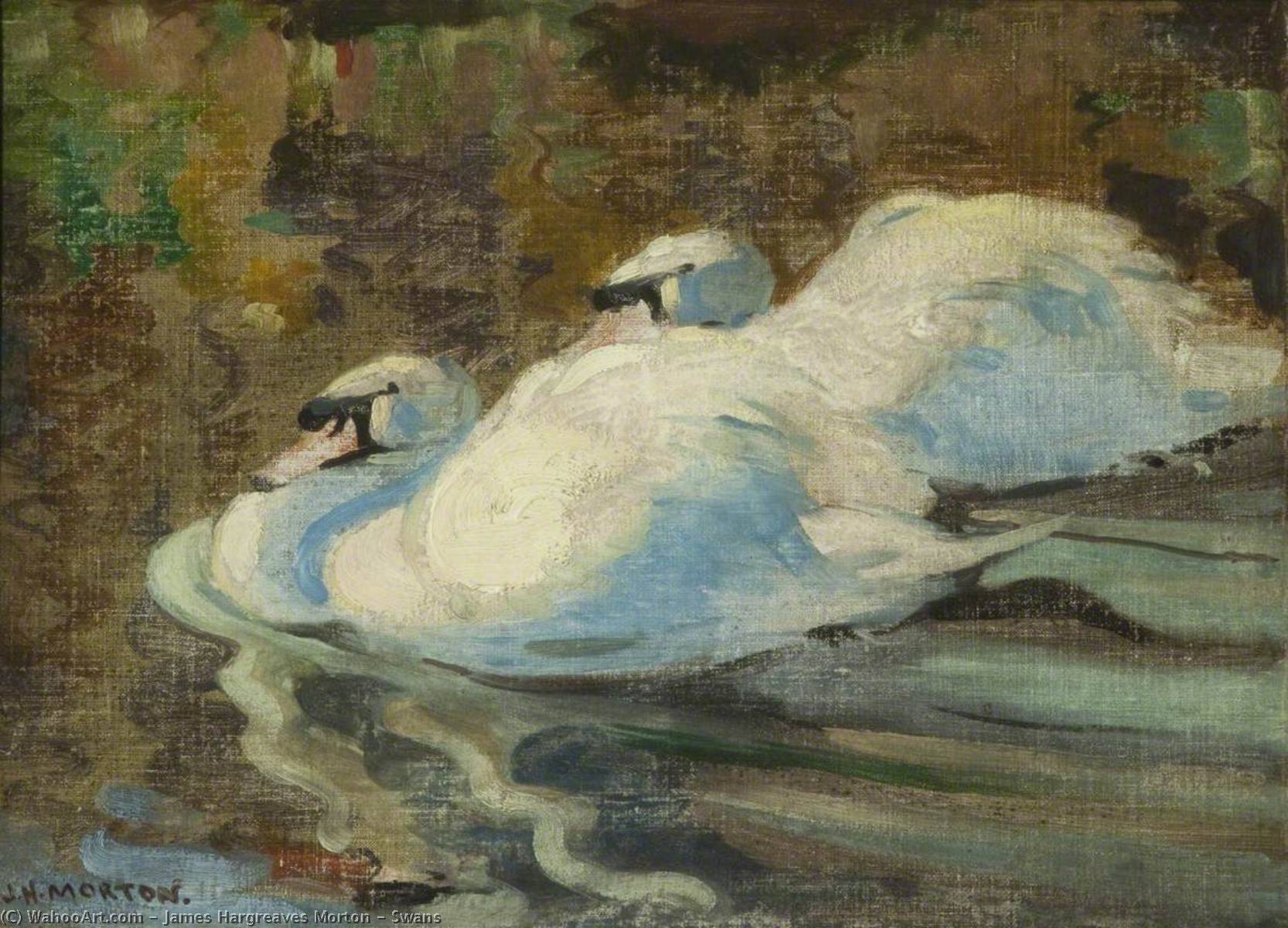 Wikioo.org - The Encyclopedia of Fine Arts - Painting, Artwork by James Hargreaves Morton - Swans