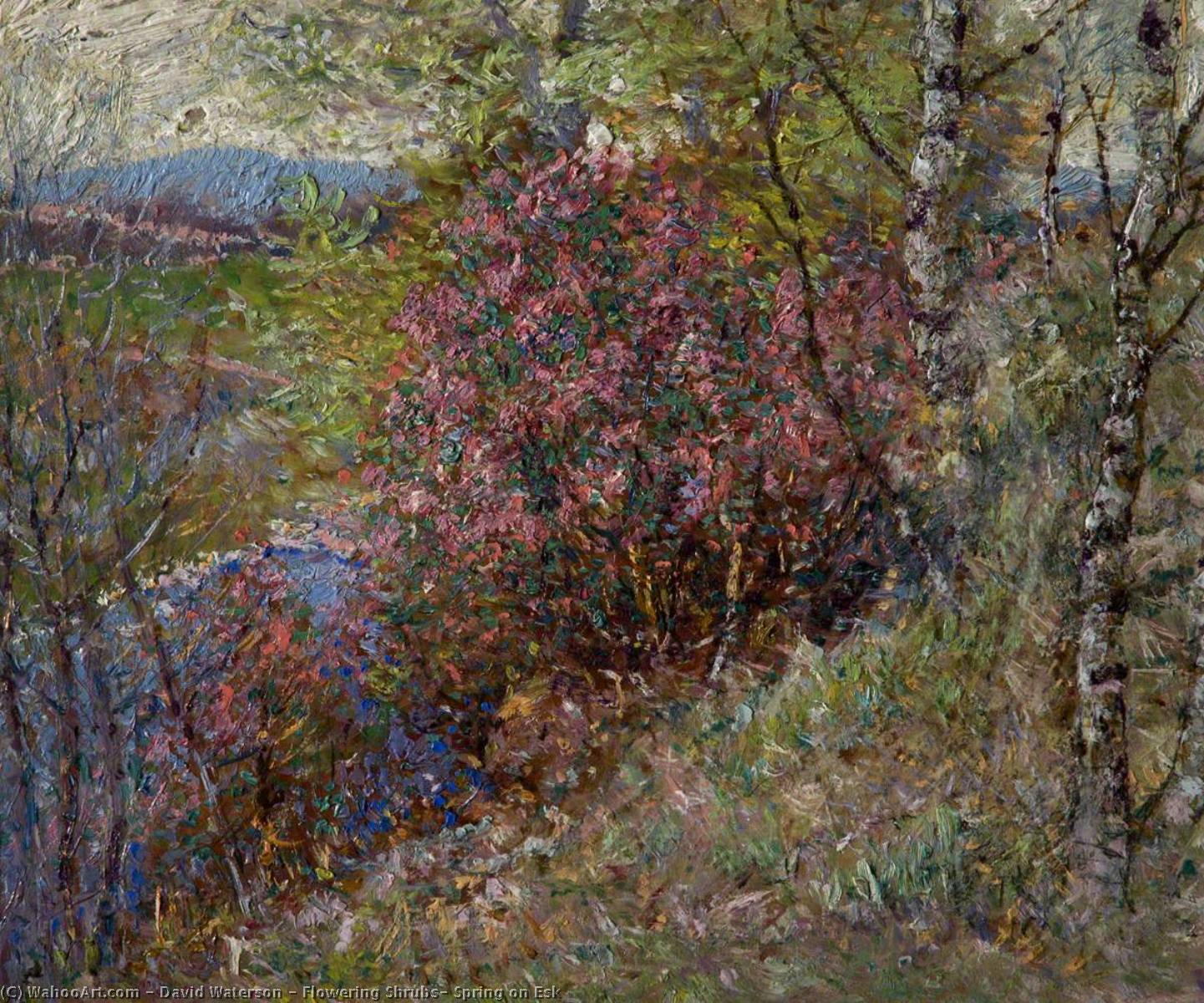 Wikioo.org - The Encyclopedia of Fine Arts - Painting, Artwork by David Waterson - Flowering Shrubs, Spring on Esk