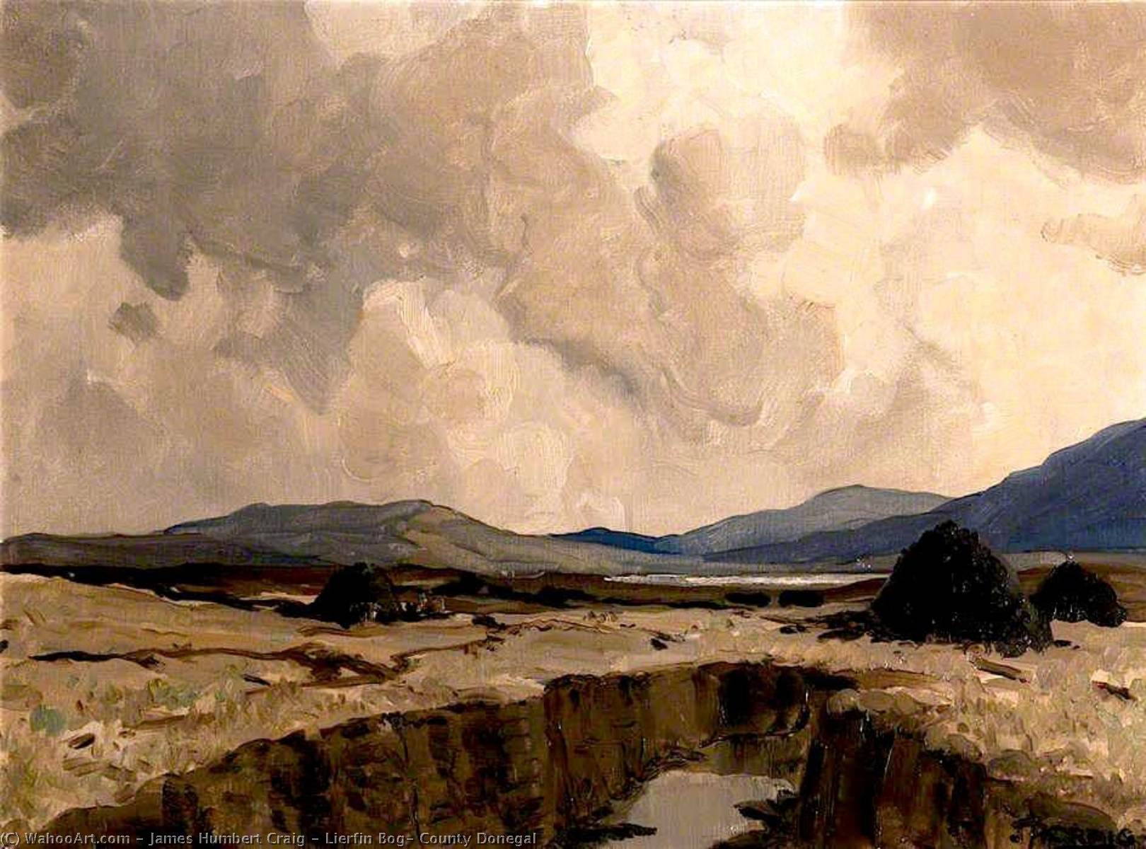 Wikioo.org - The Encyclopedia of Fine Arts - Painting, Artwork by James Humbert Craig - Lierfin Bog, County Donegal