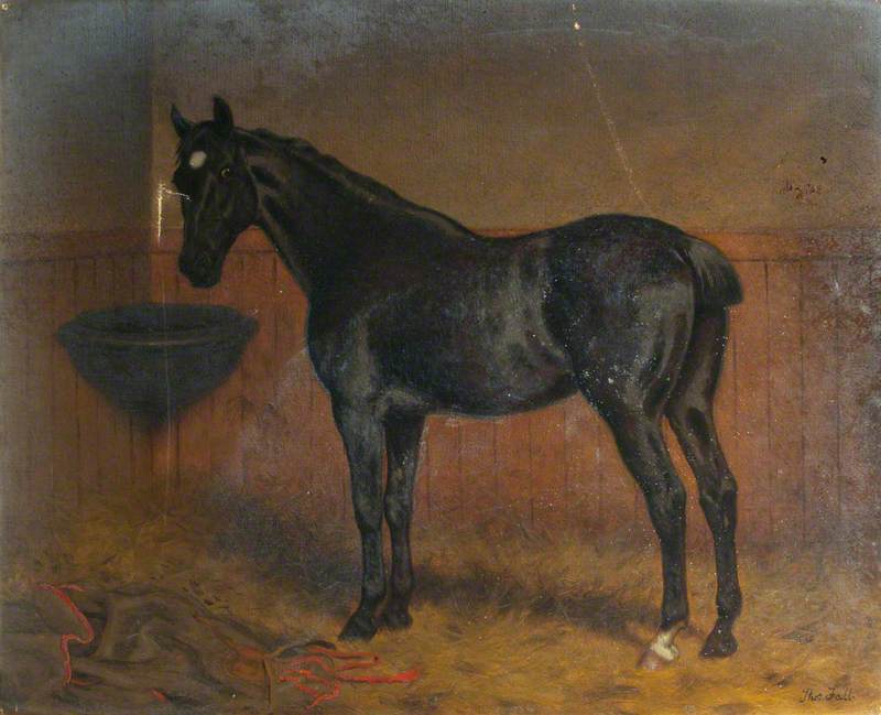 Wikioo.org - The Encyclopedia of Fine Arts - Painting, Artwork by Thomas Hall - 'Blackbird', a Dark Bay Racehorse in a Stable