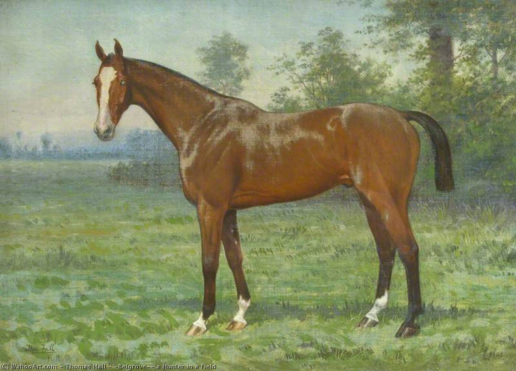 Wikioo.org - The Encyclopedia of Fine Arts - Painting, Artwork by Thomas Hall - 'Belgrove', a Hunter in a Field