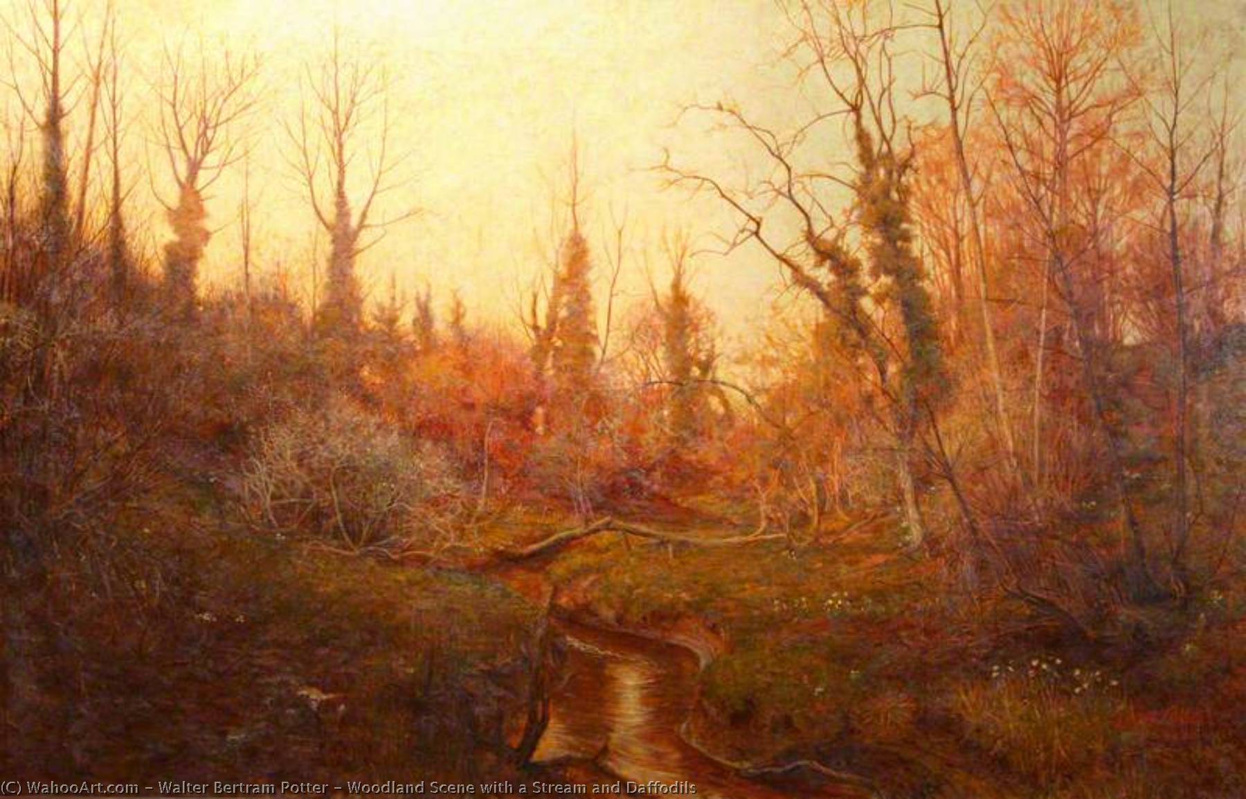 Wikioo.org - The Encyclopedia of Fine Arts - Painting, Artwork by Walter Bertram Potter - Woodland Scene with a Stream and Daffodils