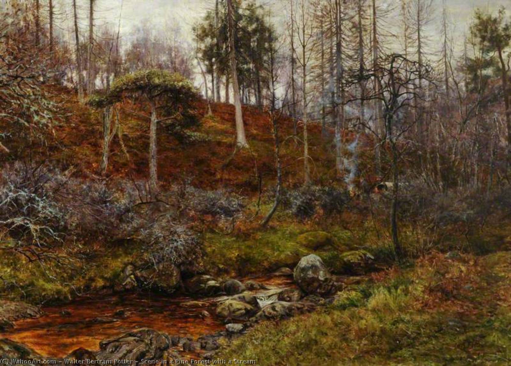 Wikioo.org - The Encyclopedia of Fine Arts - Painting, Artwork by Walter Bertram Potter - Scene in a Pine Forest with a Stream