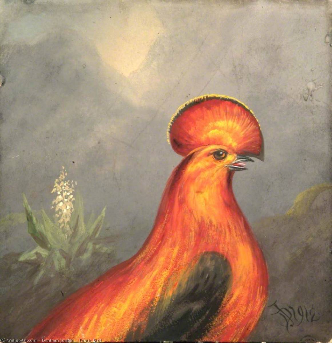 Wikioo.org - The Encyclopedia of Fine Arts - Painting, Artwork by Denham Jordan - Exotic Bird