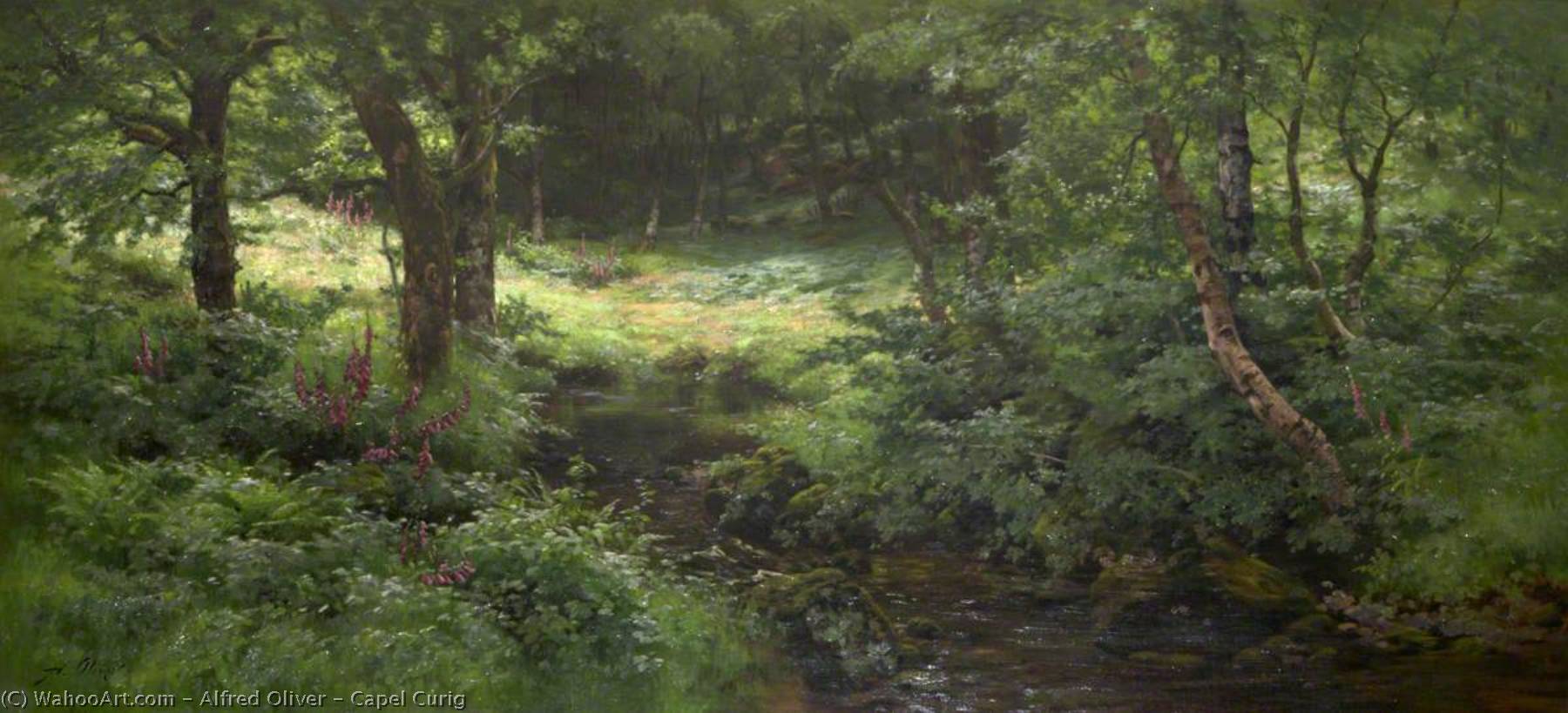 Wikioo.org - The Encyclopedia of Fine Arts - Painting, Artwork by Alfred Oliver - Capel Curig