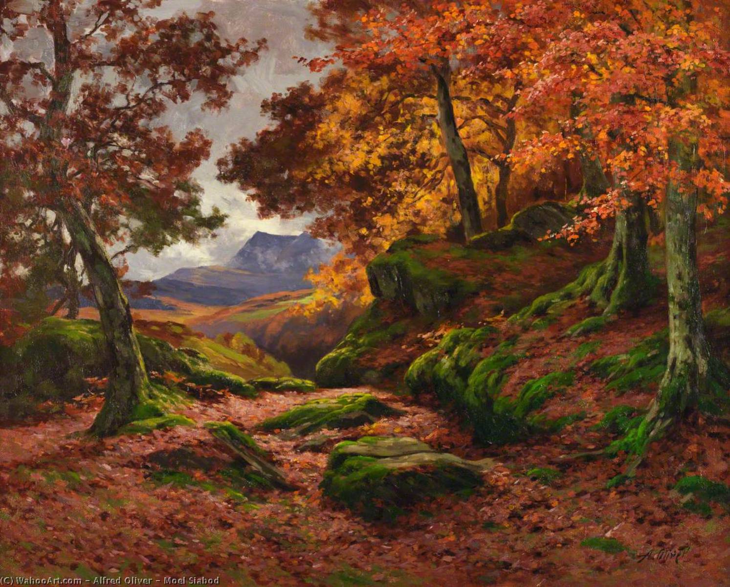 Wikioo.org - The Encyclopedia of Fine Arts - Painting, Artwork by Alfred Oliver - Moel Siabod