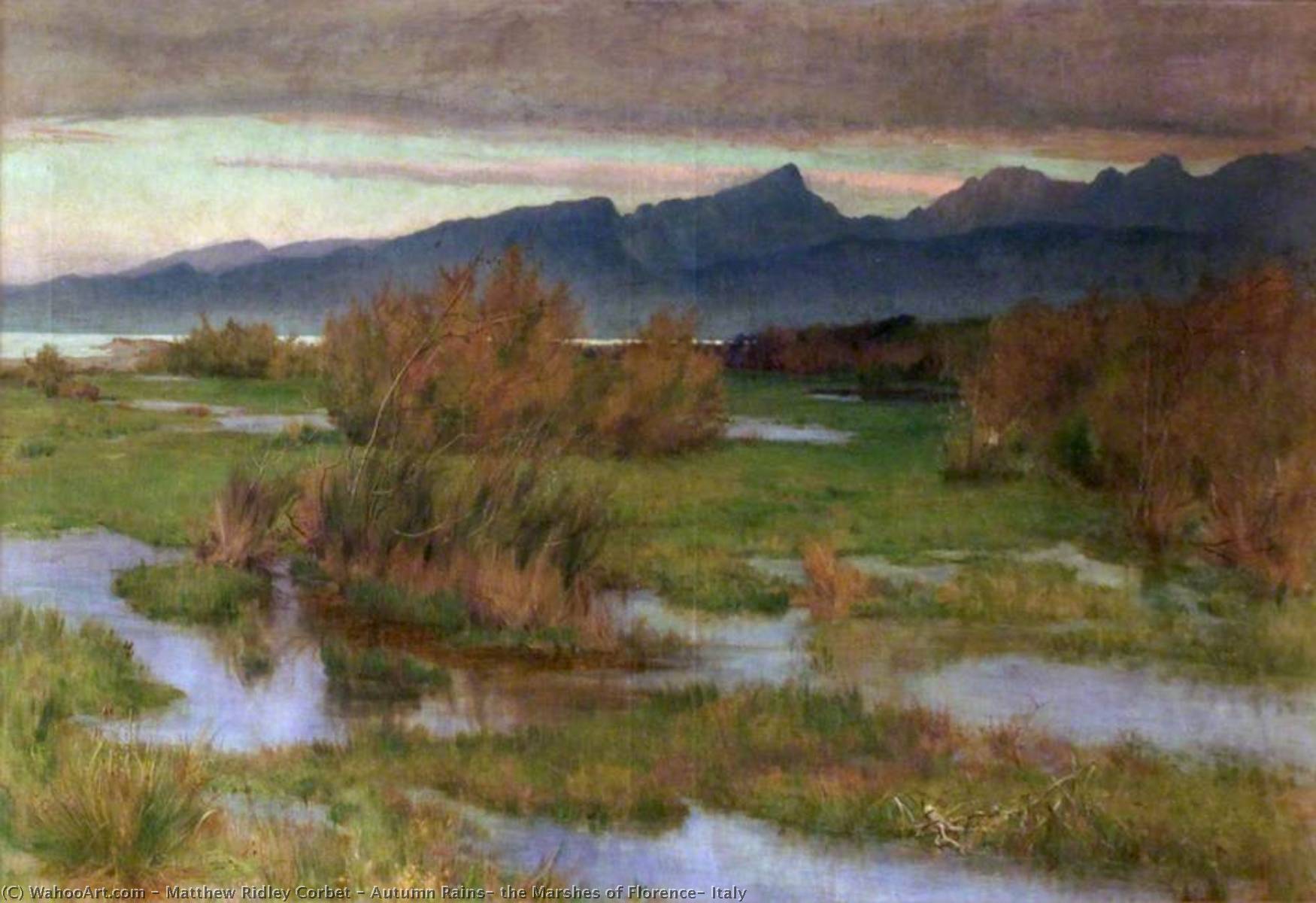 Wikioo.org - The Encyclopedia of Fine Arts - Painting, Artwork by Matthew Ridley Corbet - Autumn Rains, the Marshes of Florence, Italy