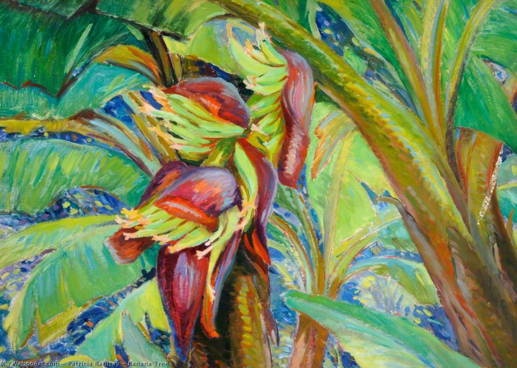 Wikioo.org - The Encyclopedia of Fine Arts - Painting, Artwork by Patricia Ramsay - Banana Tree
