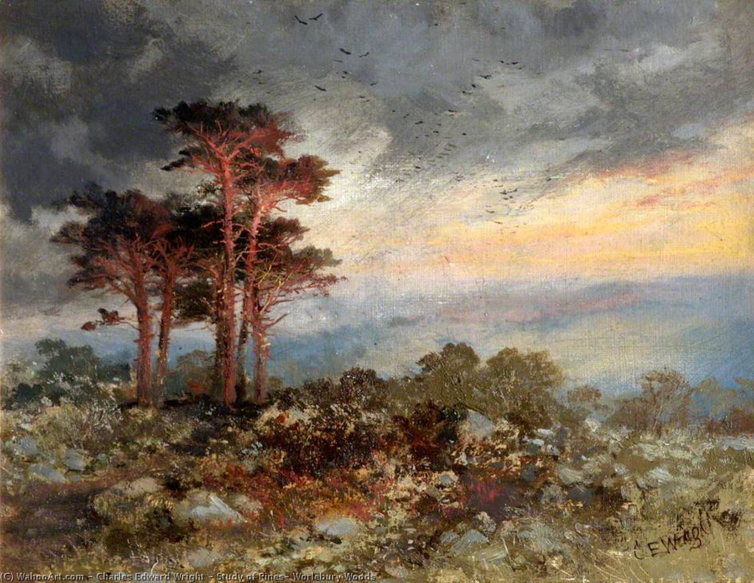 Wikioo.org - The Encyclopedia of Fine Arts - Painting, Artwork by Charles Edward Wright - Study of Pines, Worlebury Woods