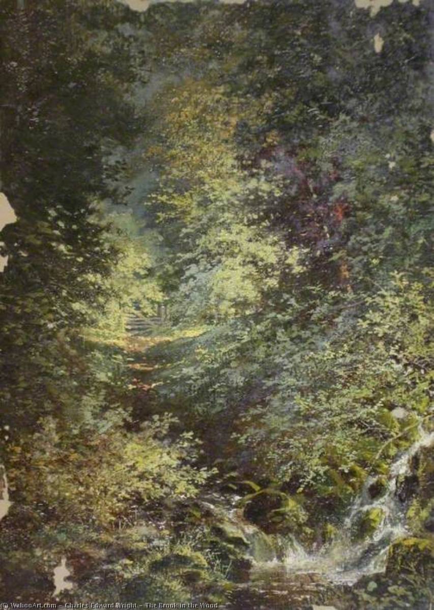 Wikioo.org - The Encyclopedia of Fine Arts - Painting, Artwork by Charles Edward Wright - The Brook in the Wood