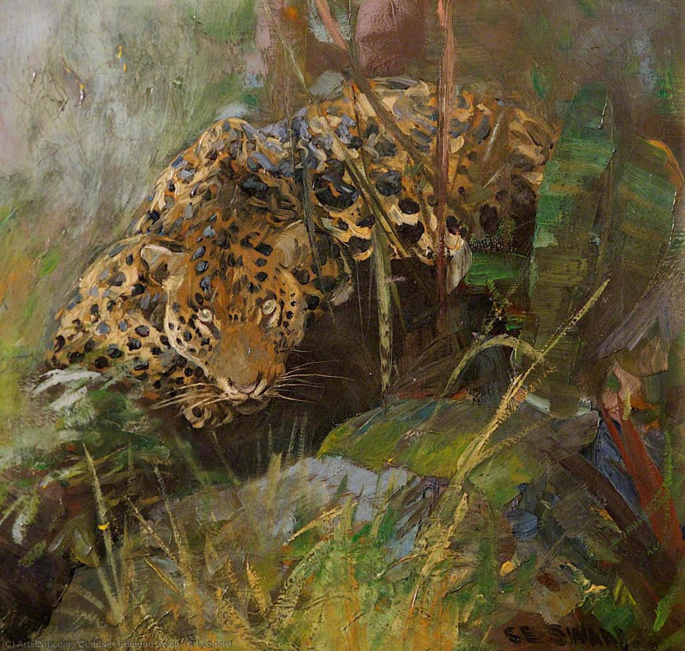 Wikioo.org - The Encyclopedia of Fine Arts - Painting, Artwork by Cuthbert Edmund Swan - A Leopard