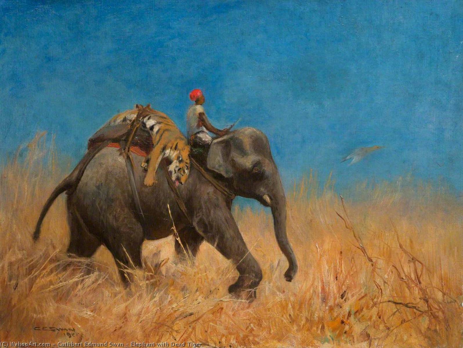 Wikioo.org - The Encyclopedia of Fine Arts - Painting, Artwork by Cuthbert Edmund Swan - Elephant with Dead Tiger