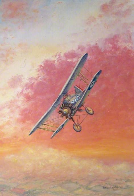 Wikioo.org - The Encyclopedia of Fine Arts - Painting, Artwork by Robert Morley - Biplane with RAF Markings