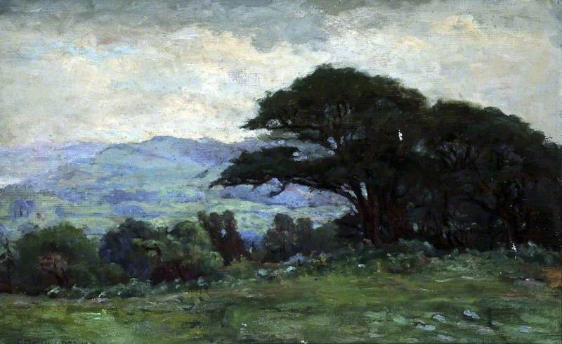 Wikioo.org - The Encyclopedia of Fine Arts - Painting, Artwork by Francis Reily - Windermere, Cumbria
