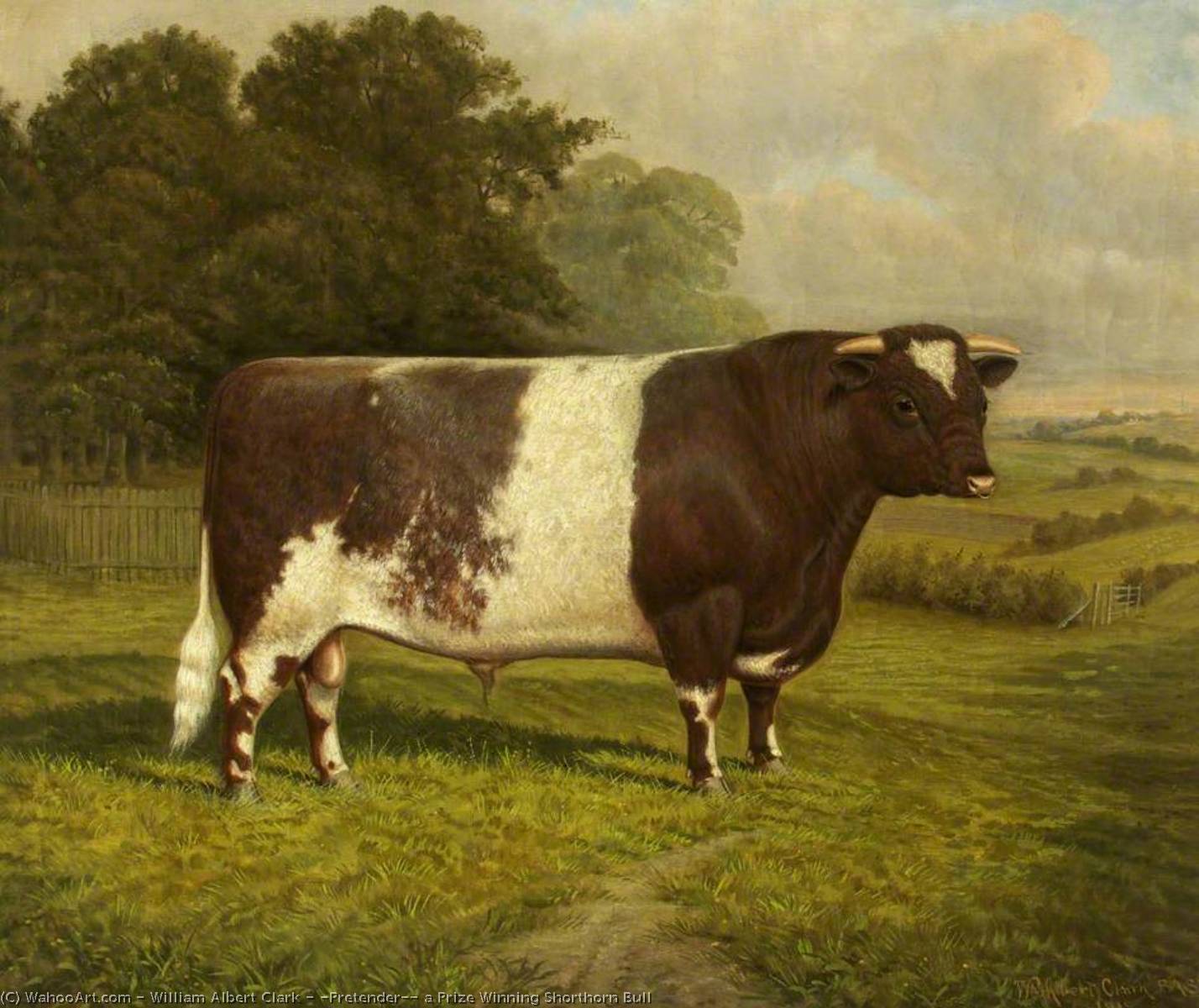Wikioo.org - The Encyclopedia of Fine Arts - Painting, Artwork by William Albert Clark - 'Pretender', a Prize Winning Shorthorn Bull