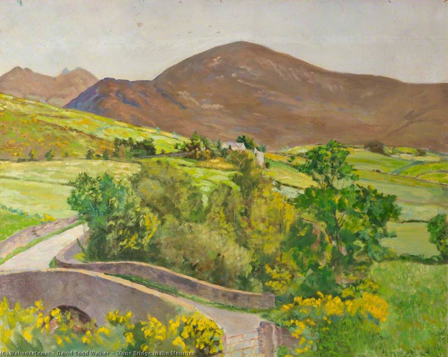 Wikioo.org - The Encyclopedia of Fine Arts - Painting, Artwork by David Bond Walker - Stone Bridge in the Mournes