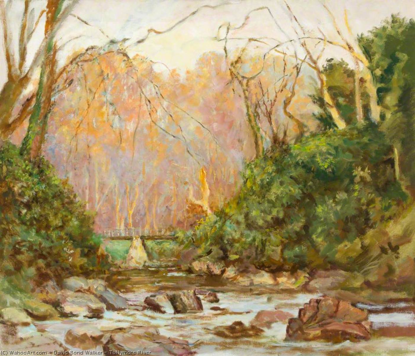Wikioo.org - The Encyclopedia of Fine Arts - Painting, Artwork by David Bond Walker - Tullymore River