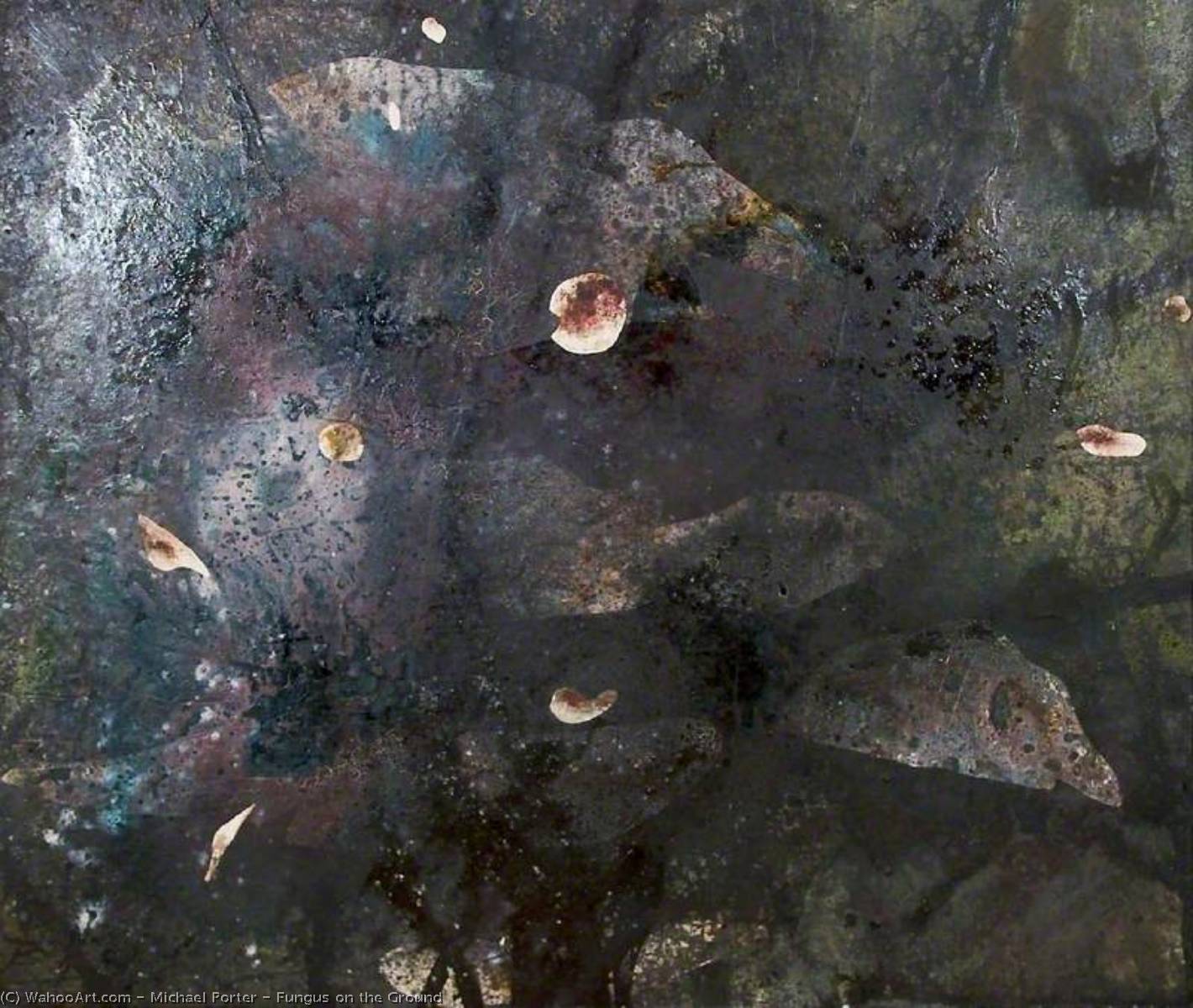 Wikioo.org - The Encyclopedia of Fine Arts - Painting, Artwork by Michael Porter - Fungus on the Ground