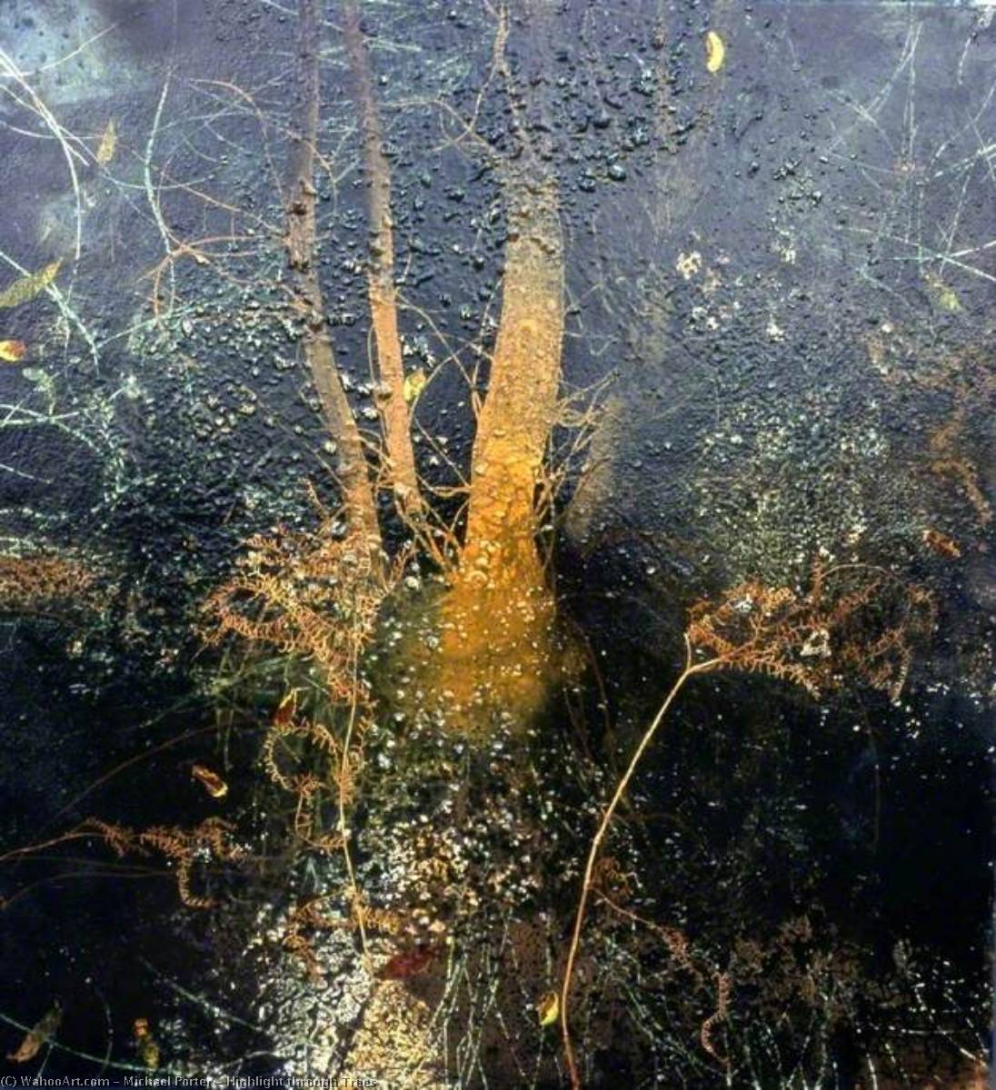 WikiOO.org - Encyclopedia of Fine Arts - Maalaus, taideteos Michael Porter - Highlight through Trees