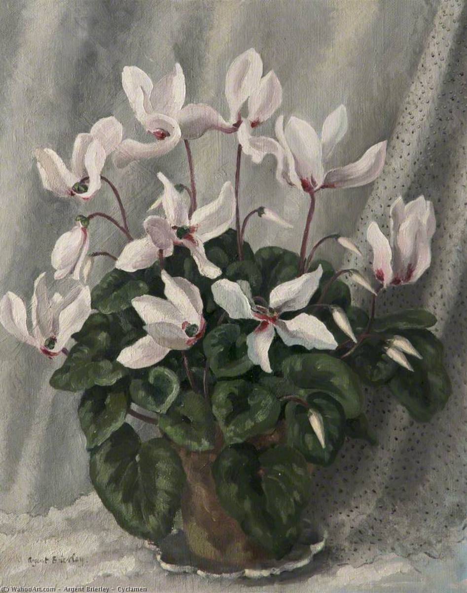 Wikioo.org - The Encyclopedia of Fine Arts - Painting, Artwork by Argent Brierley - Cyclamen