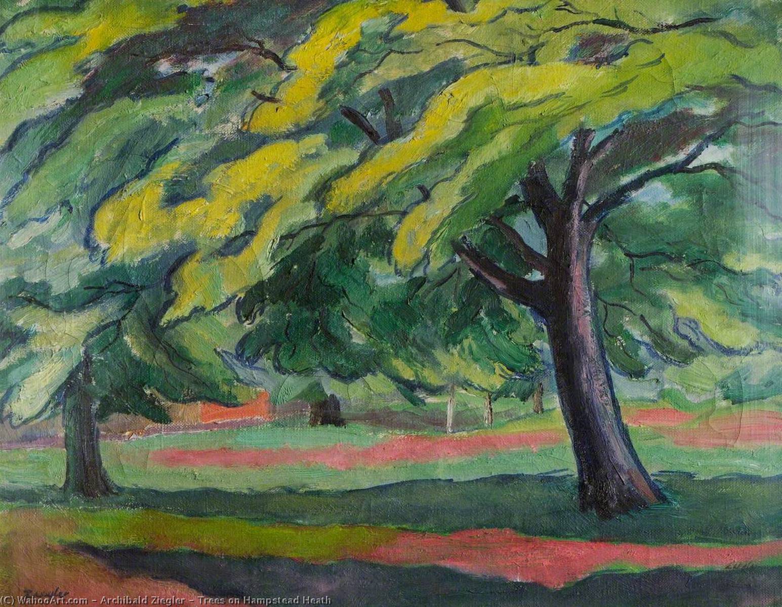 Wikioo.org - The Encyclopedia of Fine Arts - Painting, Artwork by Archibald Ziegler - Trees on Hampstead Heath