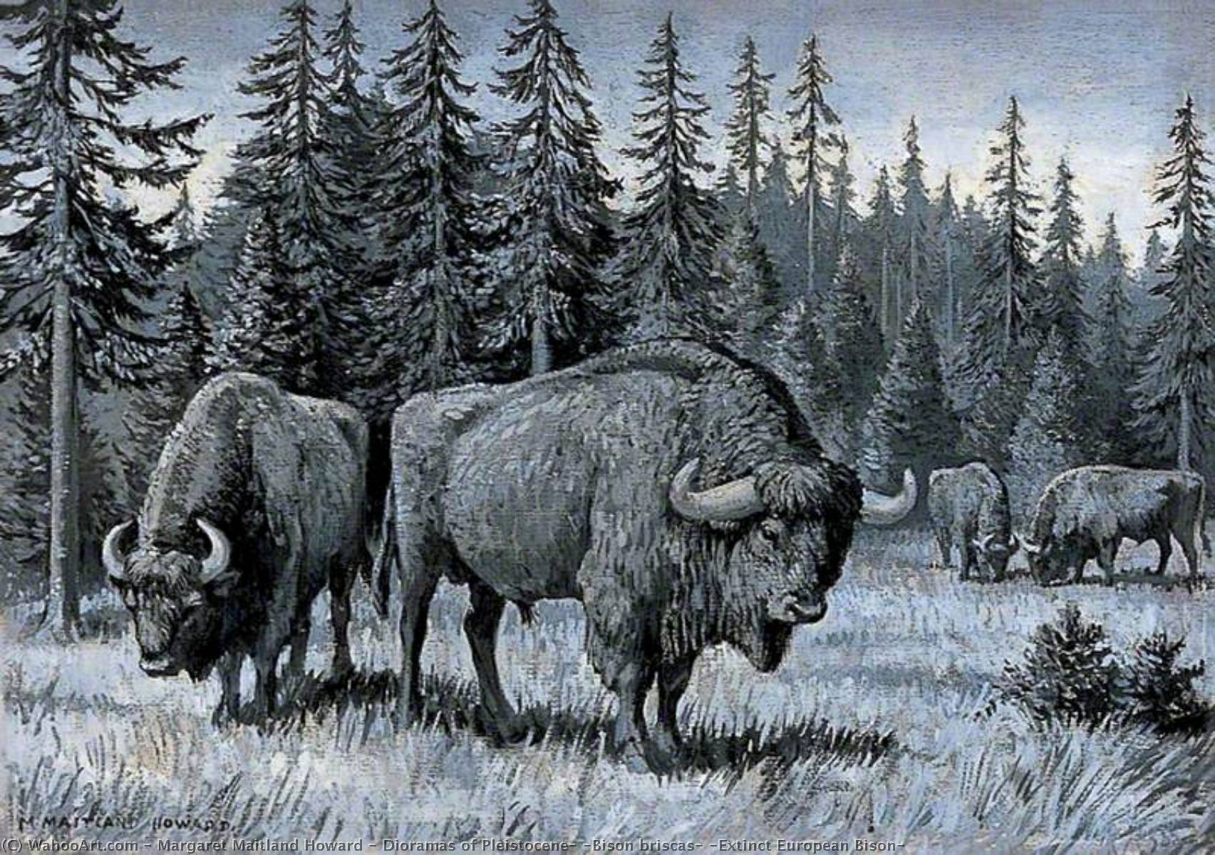 Wikioo.org - The Encyclopedia of Fine Arts - Painting, Artwork by Margaret Maitland Howard - Dioramas of Pleistocene, 'Bison briscas' (Extinct European Bison)