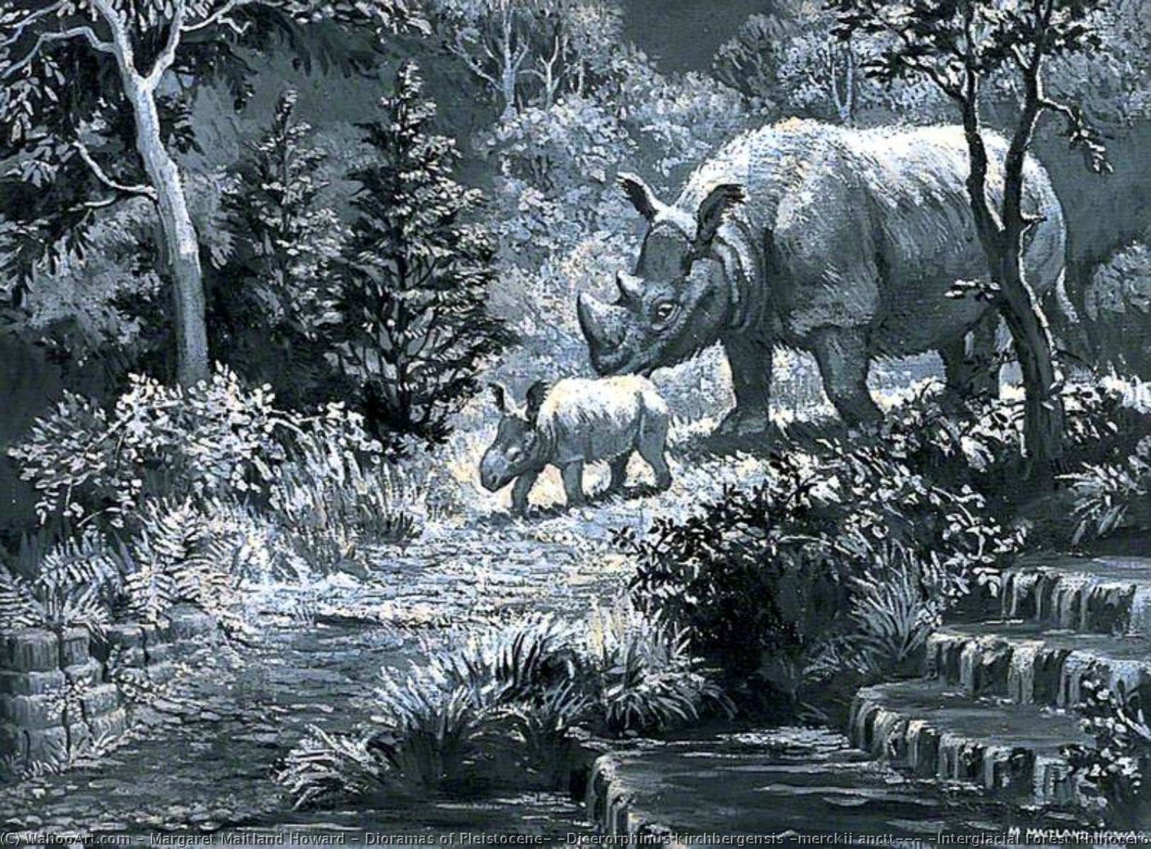 Wikioo.org - The Encyclopedia of Fine Arts - Painting, Artwork by Margaret Maitland Howard - Dioramas of Pleistocene, 'Dicerorphinus kirchbergensis (merckii anctt)', (Interglacial Forest Rhinoceros)