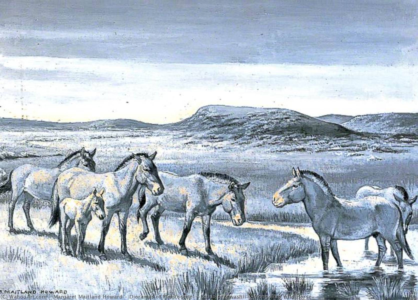 Wikoo.org - موسوعة الفنون الجميلة - اللوحة، العمل الفني Margaret Maitland Howard - Dioramas of Pleistocene, 'Equus przewashii' (Mongolian Wild Horse)