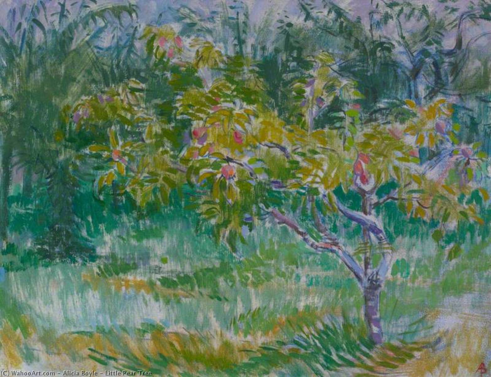 Wikioo.org - The Encyclopedia of Fine Arts - Painting, Artwork by Alicia Boyle - Little Pear Tree