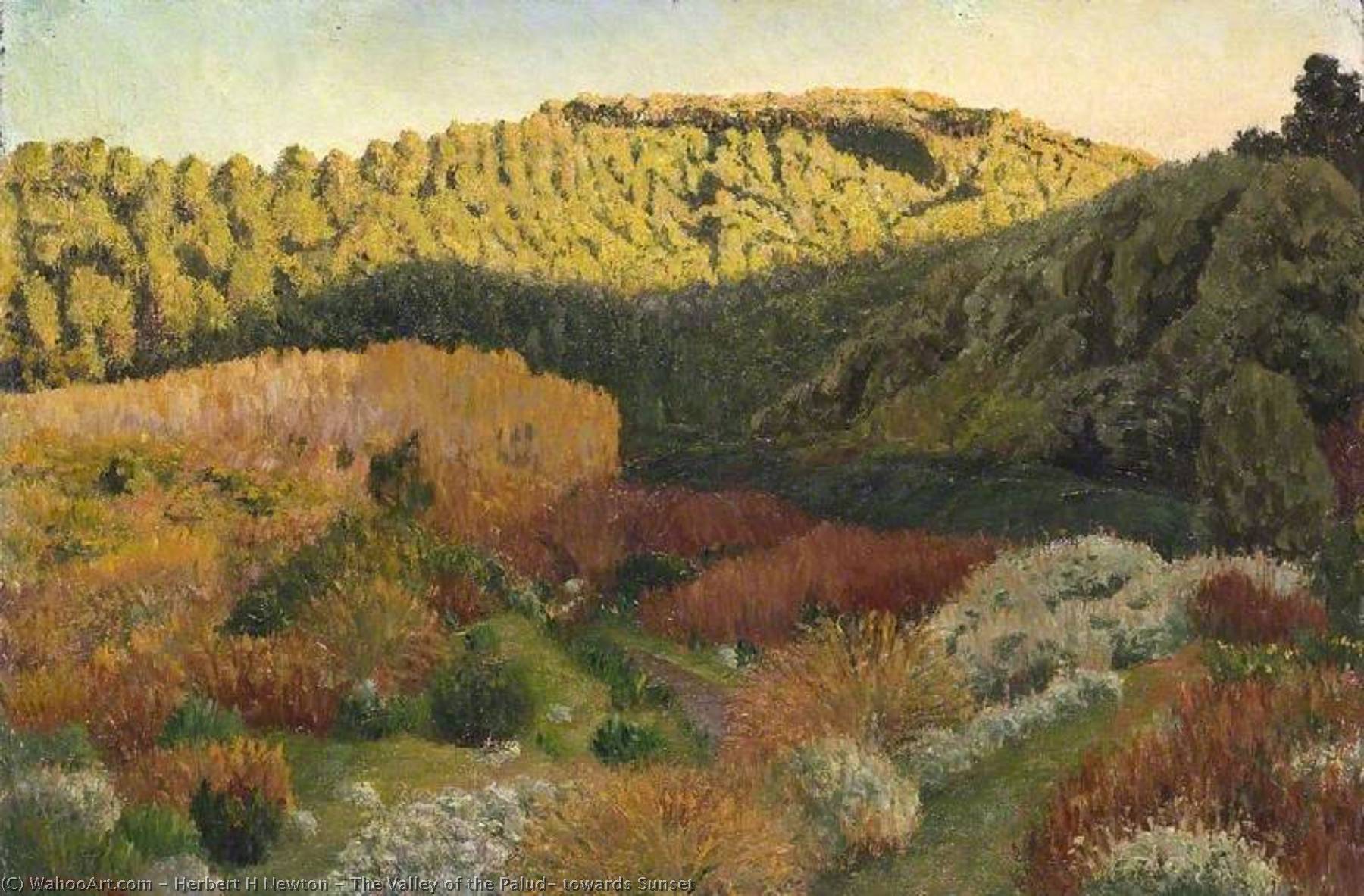 Wikioo.org - The Encyclopedia of Fine Arts - Painting, Artwork by Herbert H Newton - The Valley of the Palud, towards Sunset