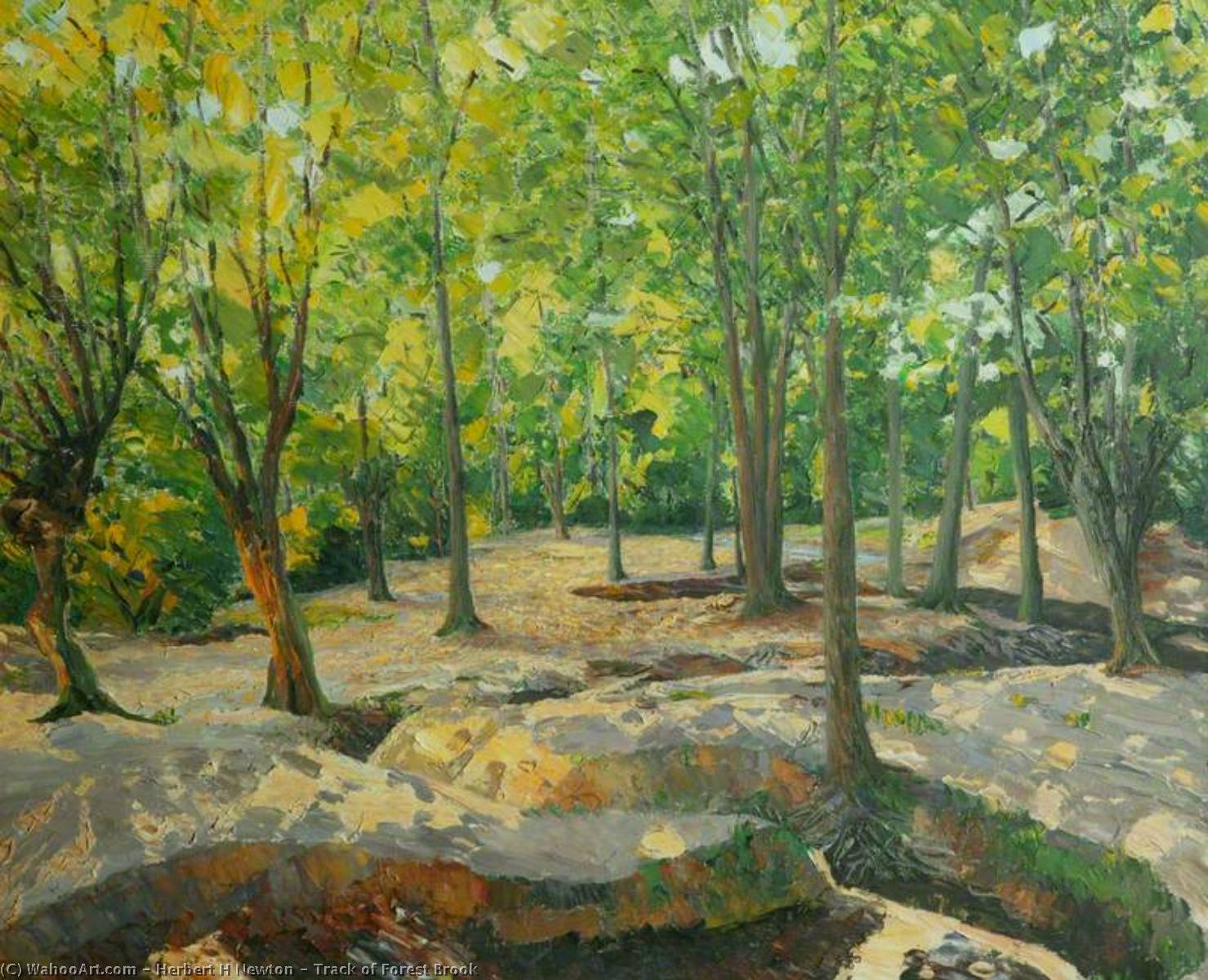 Wikioo.org - The Encyclopedia of Fine Arts - Painting, Artwork by Herbert H Newton - Track of Forest Brook