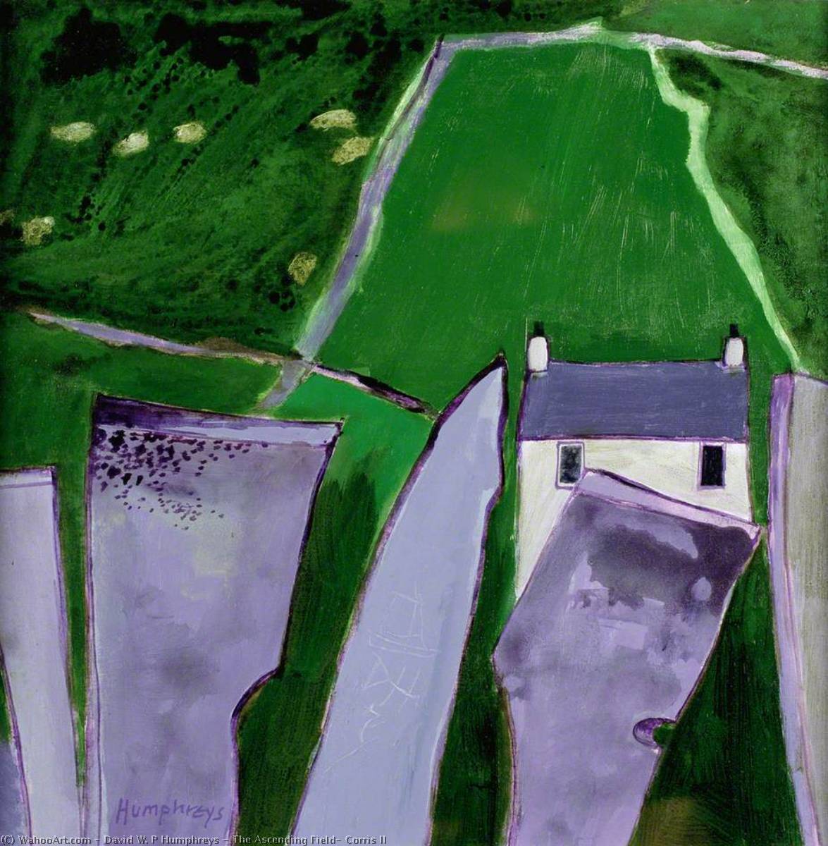 Wikioo.org - Bách khoa toàn thư về mỹ thuật - Vẽ tranh, Tác phẩm nghệ thuật David W. P Humphreys - The Ascending Field, Corris II