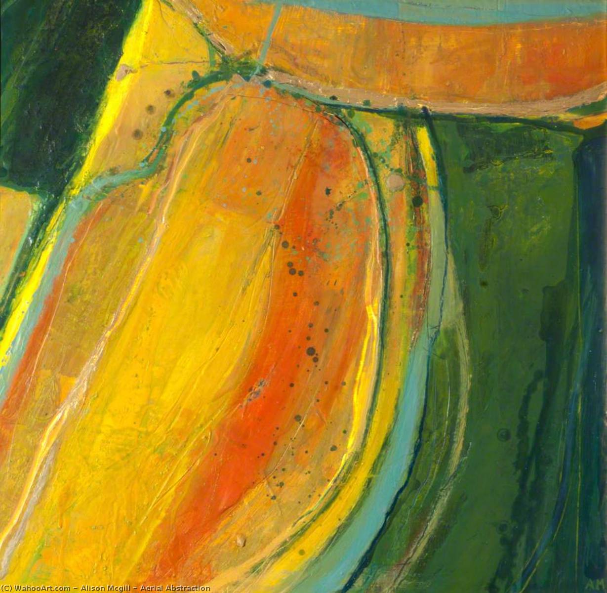 WikiOO.org - Encyclopedia of Fine Arts - Lukisan, Artwork Alison Mcgill - Aerial Abstraction