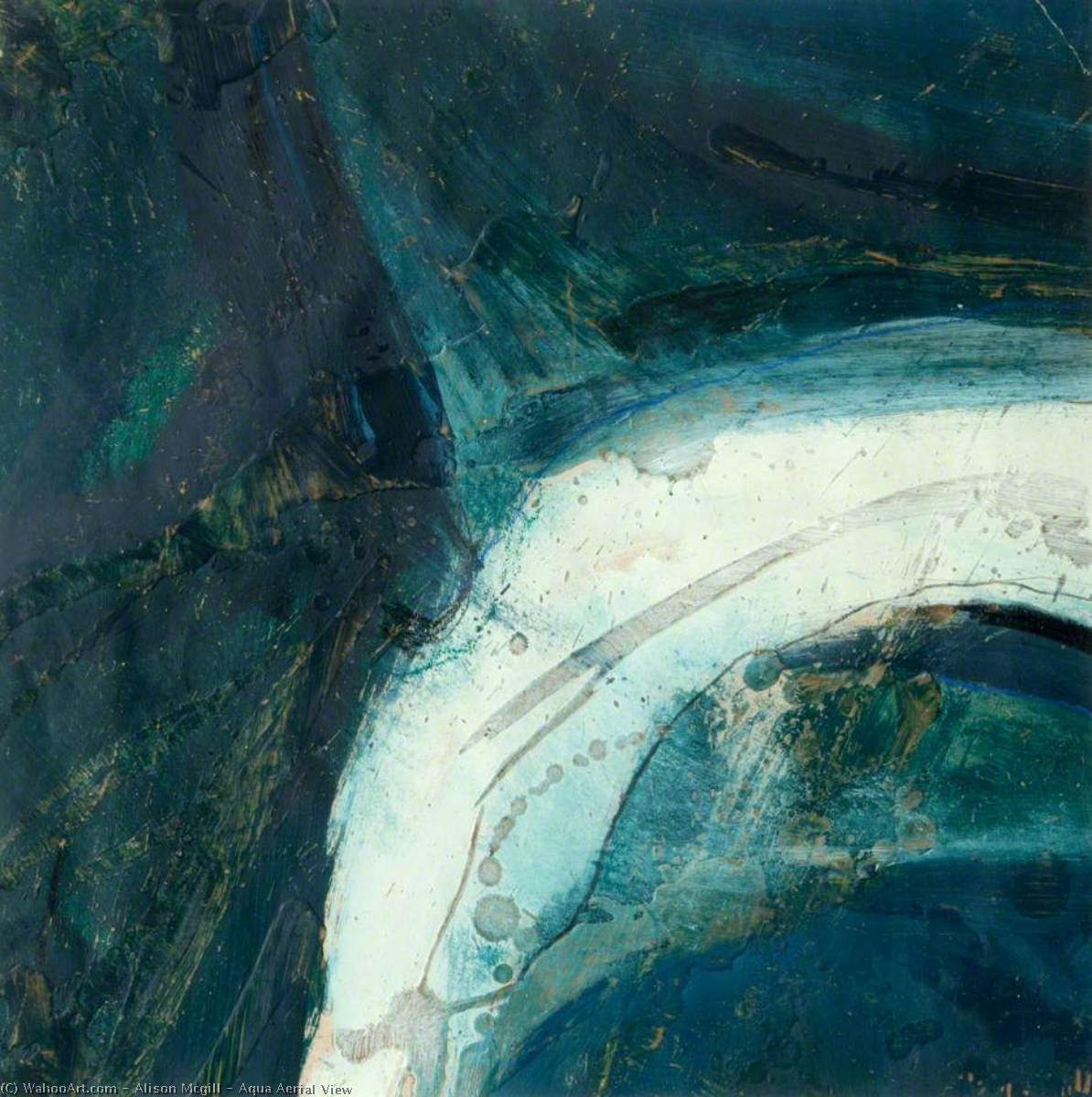 Wikioo.org - The Encyclopedia of Fine Arts - Painting, Artwork by Alison Mcgill - Aqua Aerial View