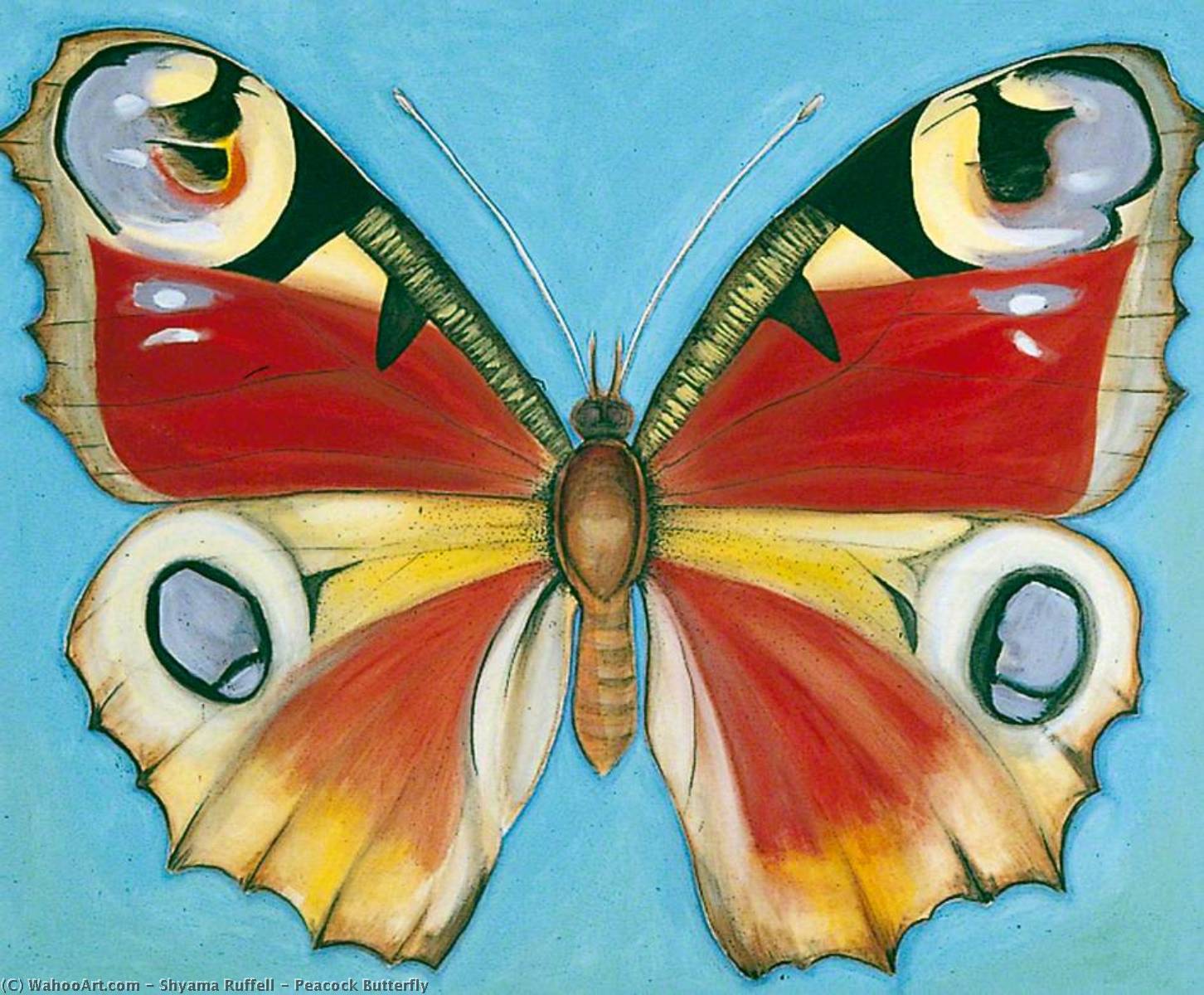 Wikioo.org - The Encyclopedia of Fine Arts - Painting, Artwork by Shyama Ruffell - Peacock Butterfly
