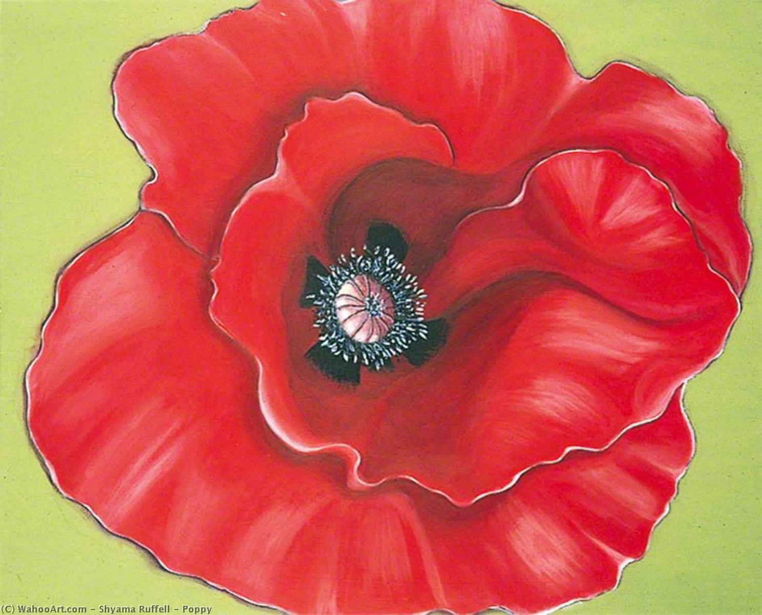 Wikioo.org - The Encyclopedia of Fine Arts - Painting, Artwork by Shyama Ruffell - Poppy